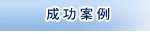 成功案例