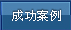 成功案例
