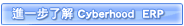 进一步了解Cyberhood ERP