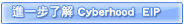 進一步了解 Cyberhooh EIP